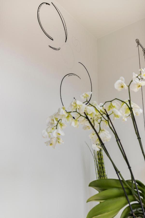 Vrijdagmarkt By Lit D'Art Appartement Antwerpen Buitenkant foto